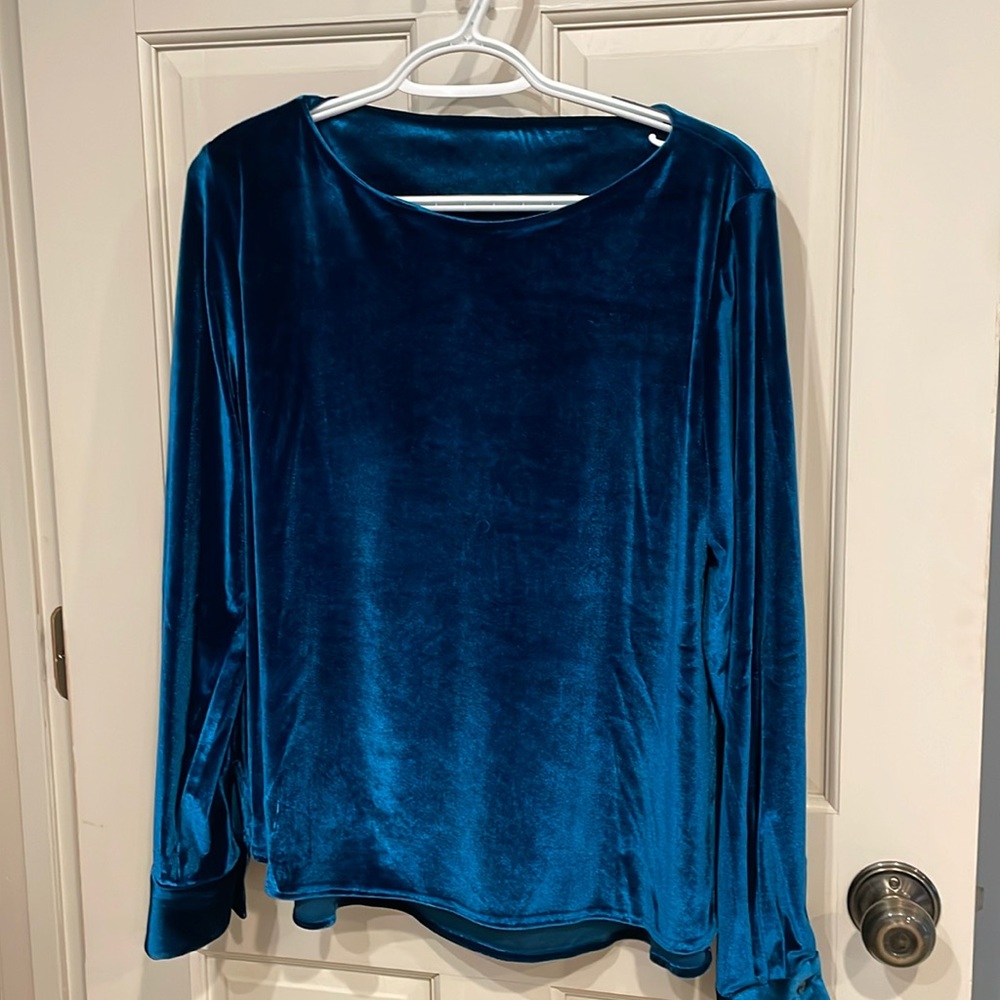 Blue velvety top.